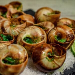 Escargot